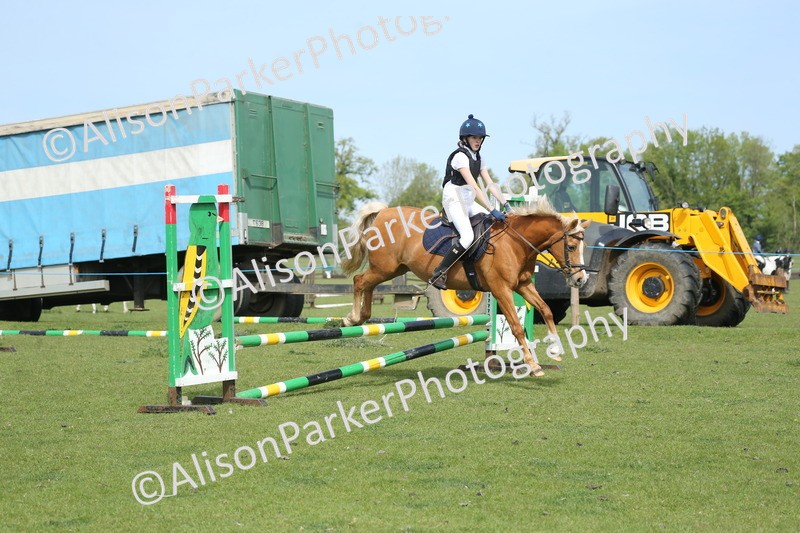 20260426-1614 - Class 14 - Novice 60cm