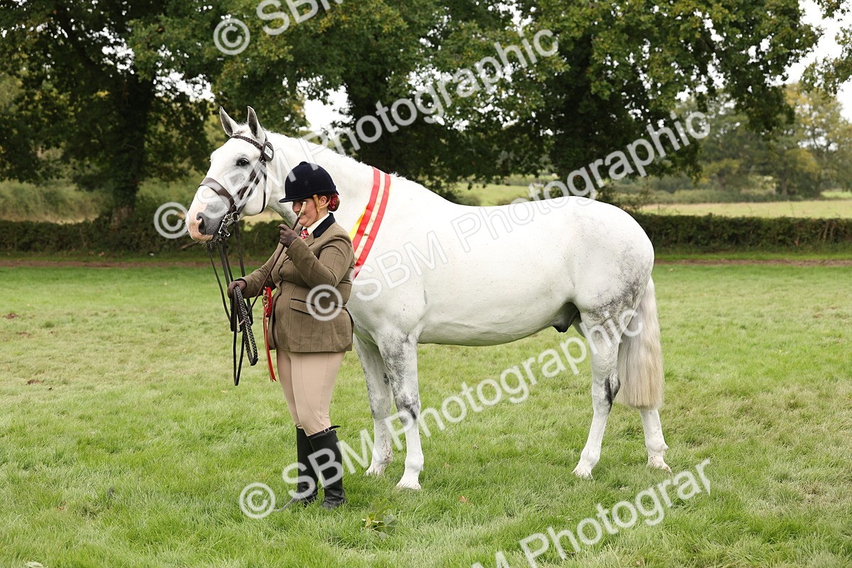 SBM_60872 - In Hand Horse Supreme Championship