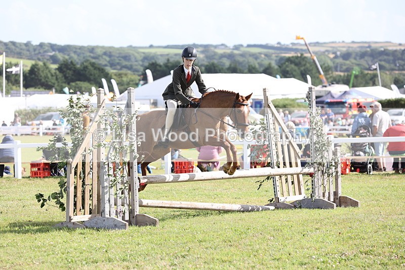 JPP_2729 - Class 20: Working Hunter 70cm