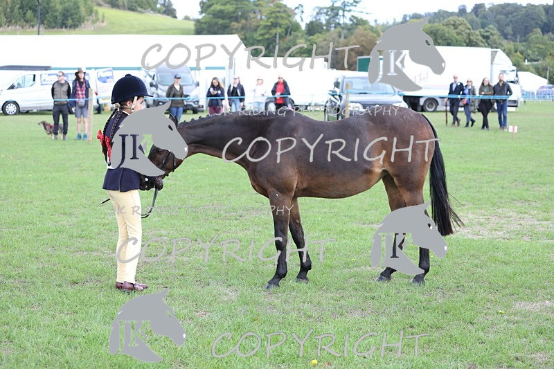 APP_2629 - Class 9 Veterans in hand