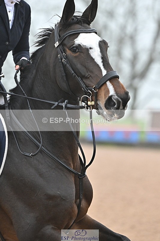 241103A-112755-07049 - SUN Cls 18 British Novice and 90cm Open