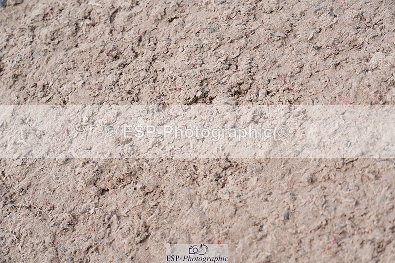 250525-101922-09092 - Cls 32 A&B Snr Brit Nov & 90cm Open