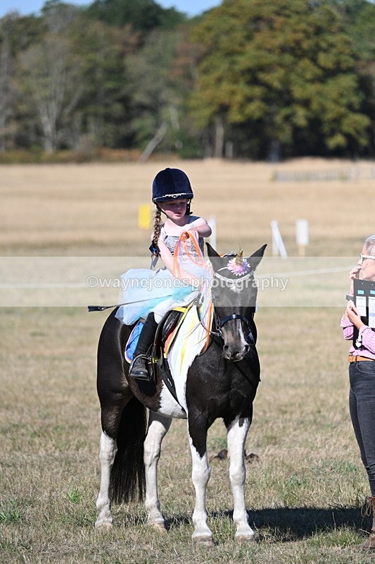 WJ7_2597 - Class 45 Fancy Dress (My Fav)