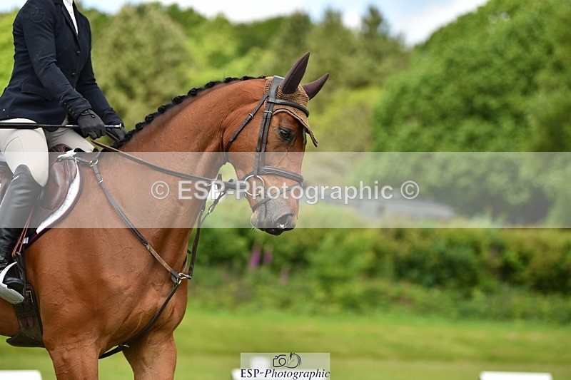 240523B-125710-02298 - 5 Year Old