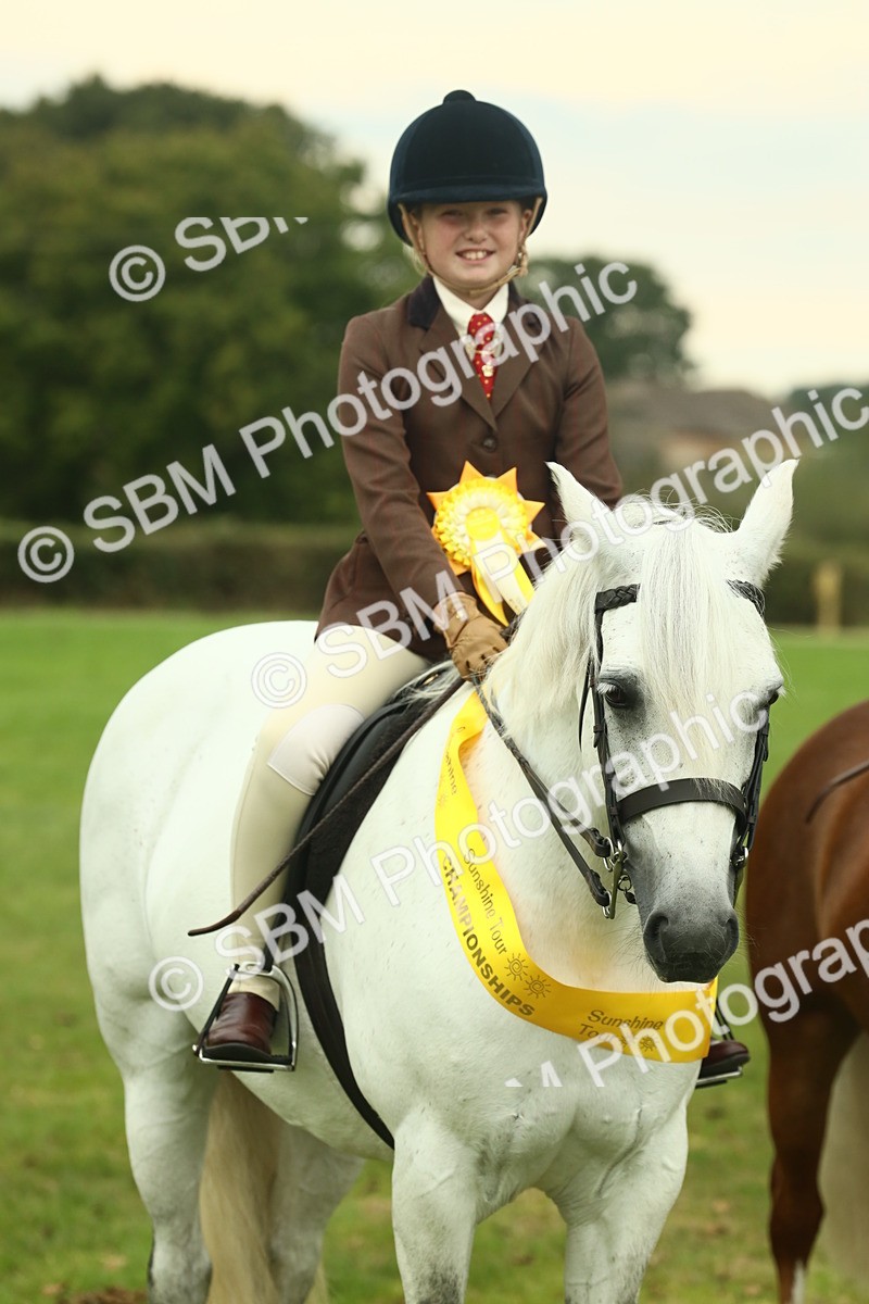 SBM_72312 - S60 - Mountain & Moorland Ridden Large Breeds