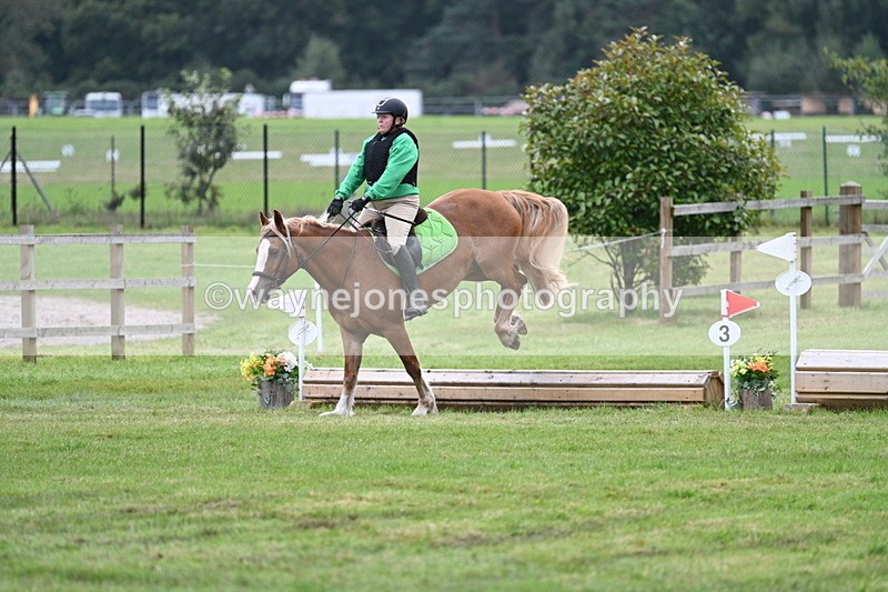 WJ7_7863 - 40cm Time 10:49 to 11:18