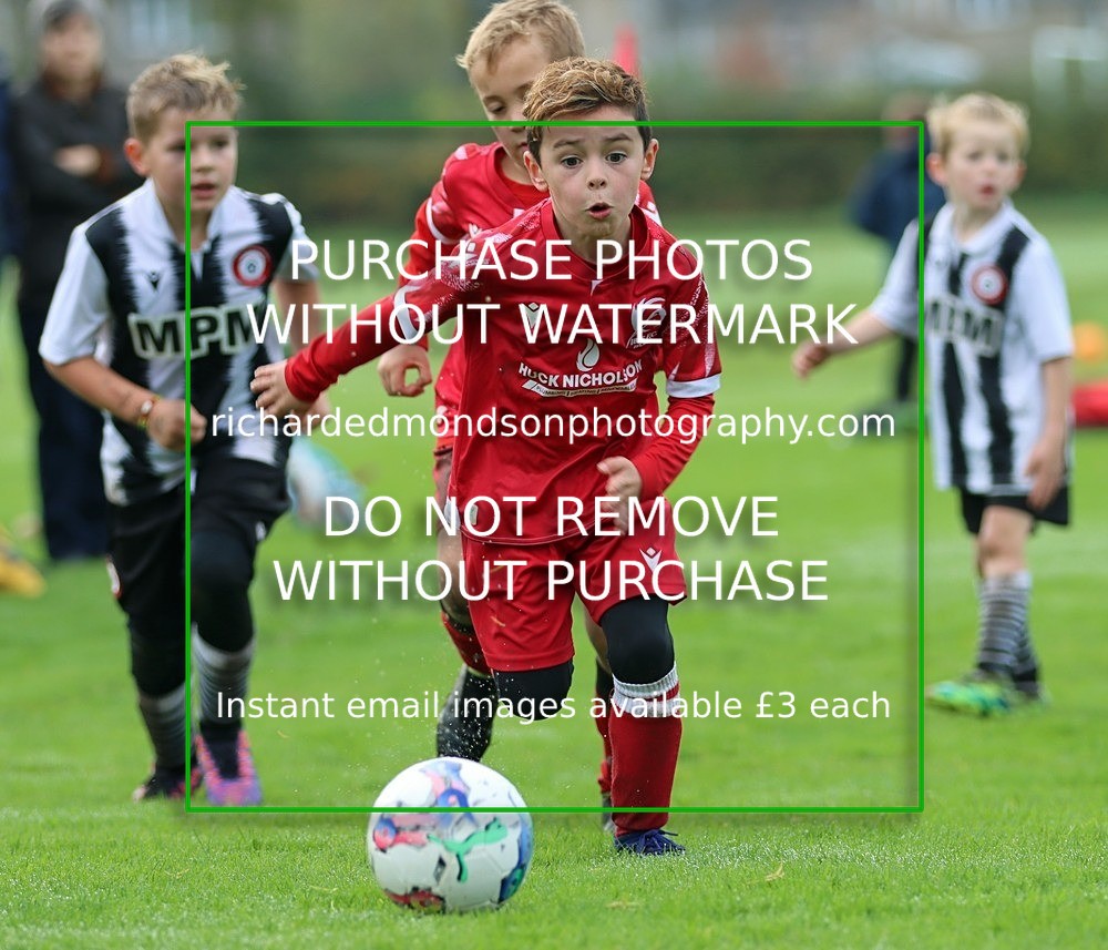 IMG_7246 - Ibis Under 8's (19/10/24)