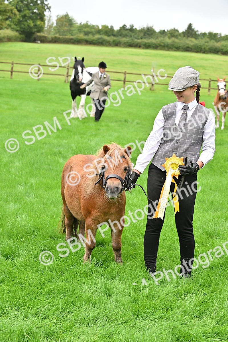 SBM_32666 - S15 - Top Turnout In Hand