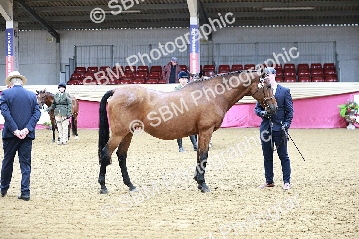 SBM_00246 - Class 1A - Area IH Diamond