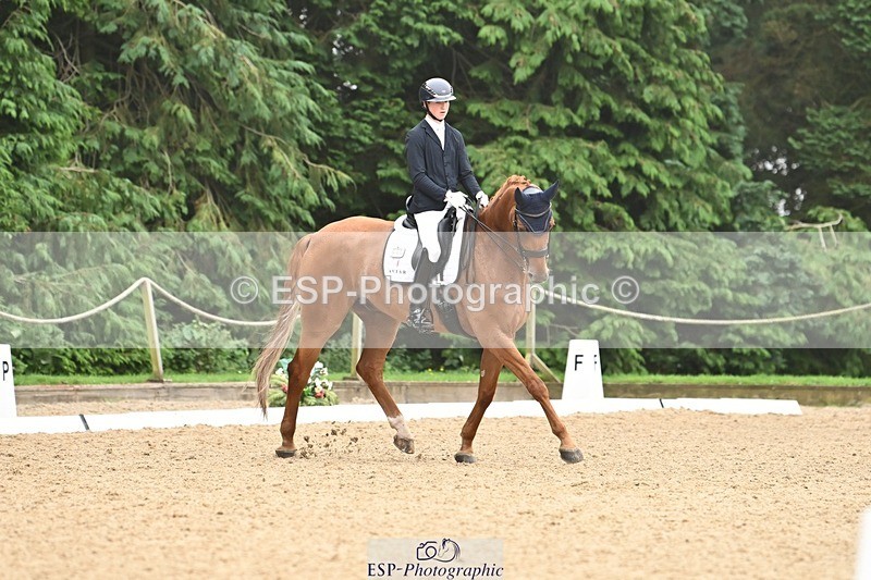 240811-113310-05199 - 208-Tom.Carter-Rubin.Regal