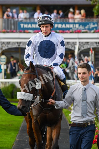 240823-Race 6-Gushing Gold-0800 - Race 6 4.45pm Or8Wellness EBF Stallions Nursery Handicap