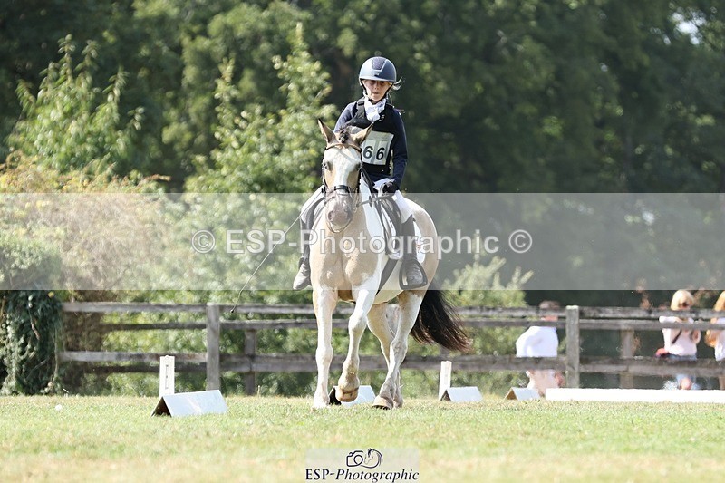 250823A-133602-31326 - Arena D