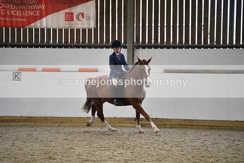 WJ5_7794 - Class 13 Ridden Part Breed