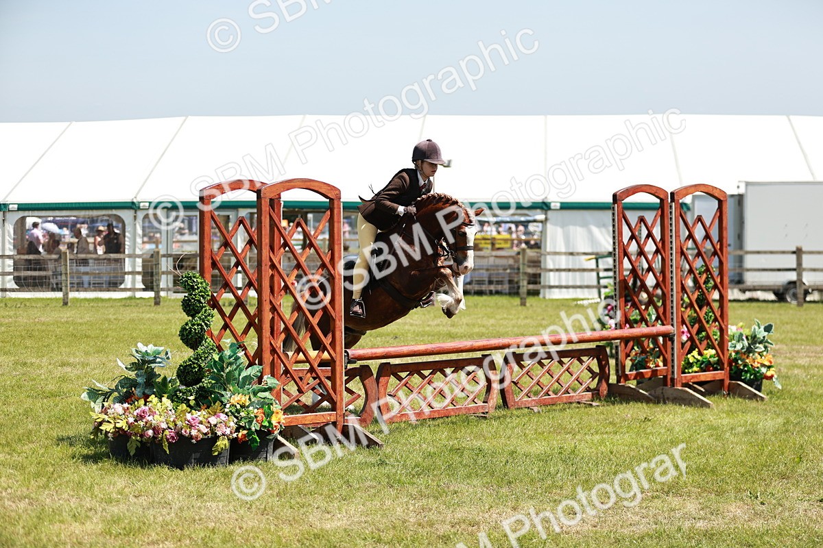 SBM_15499 - Class 108-109 - BSPS LIHS Open Gradle & Nursery Stakes
