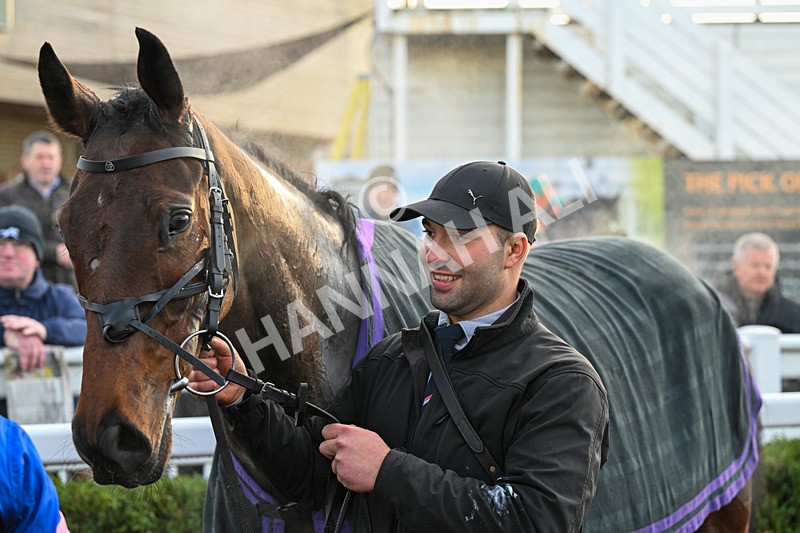 161225-Race 4-Noonetellsmenothin-8647 - Race 4