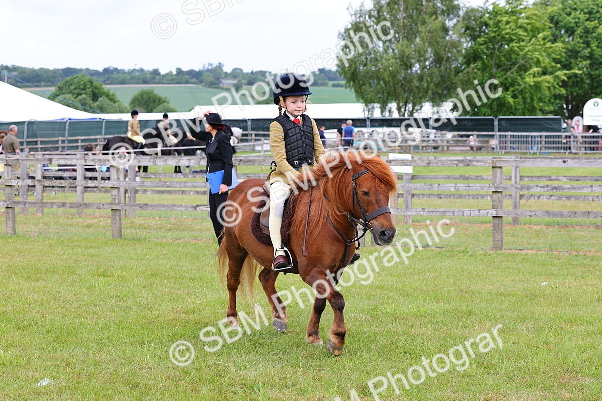 SBM_08568 - Class 42-43 - LIHS BSPS Heritage Working Sports Pony