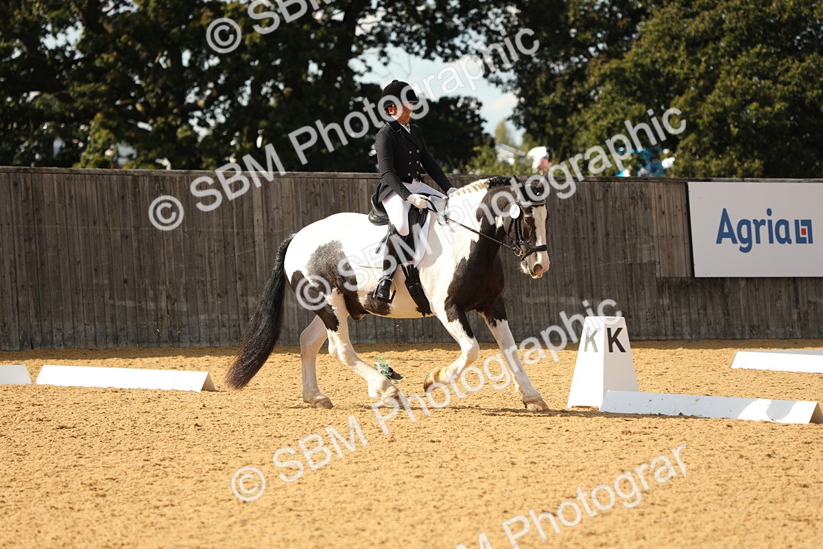 SBM_26697 - D17 - Grand Tour Championship - Novice 27