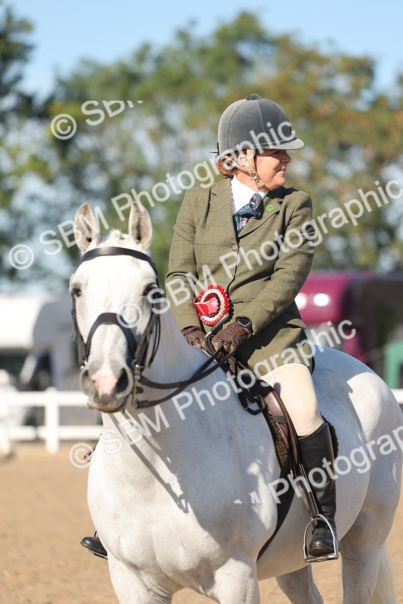 SBM_12257 - Class 303 - Ridden Pure Bred Horse Pony