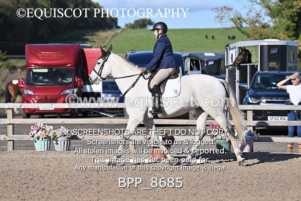 BPP_8685 - SHORT ARENA