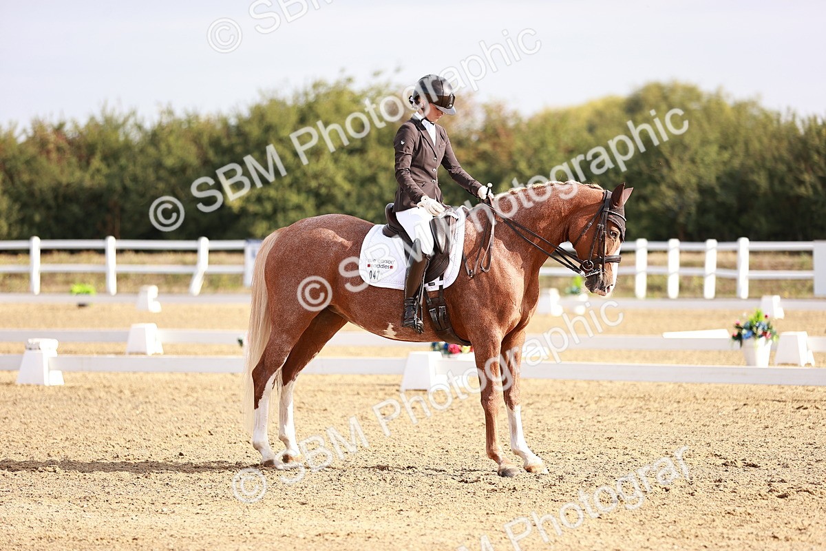 SBM_016849 - Class 10 - Medium 6