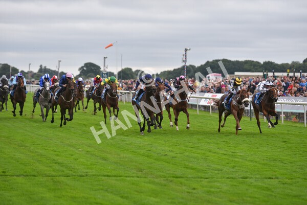 yr18082021r7-23 - Race 7 5.20pm Sky Bet Nursery Handicap