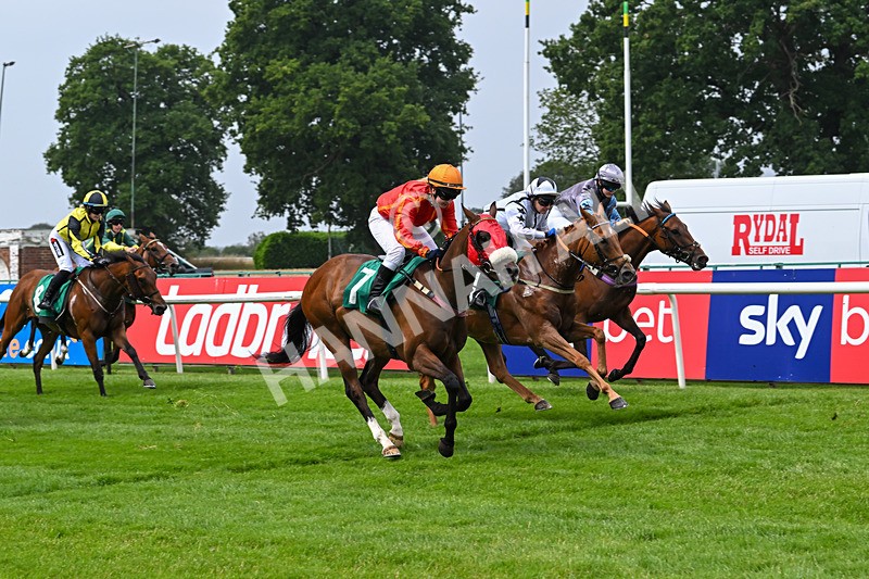 250725-Graham Lee IJF Stable Staff Stakes-E-3889 - The Graham Lee IJF Fund Stable Staff Stakes