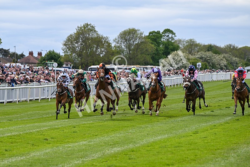 160526-Race 1-Dees Funny Girl-9178 - Race 1 1.52pm Marion Gibson Brown Memorial - Irish EBF Restricted Maiden Fillies' Stakes  (Div I)