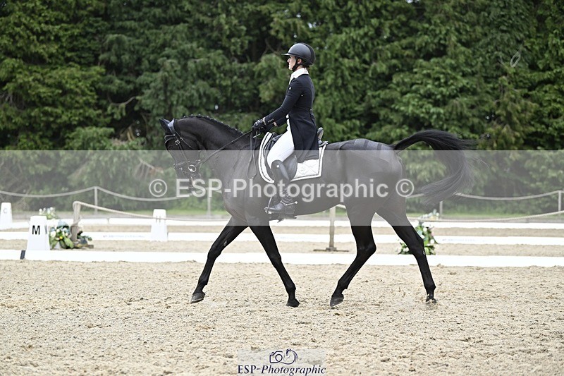 240523-163631-05468 - 445-REGAL_BOUNTY-Felicity_Ward