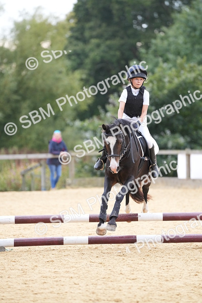 SBM_74597 - J4 - Mini Tour Junior Pony 45cm Championship