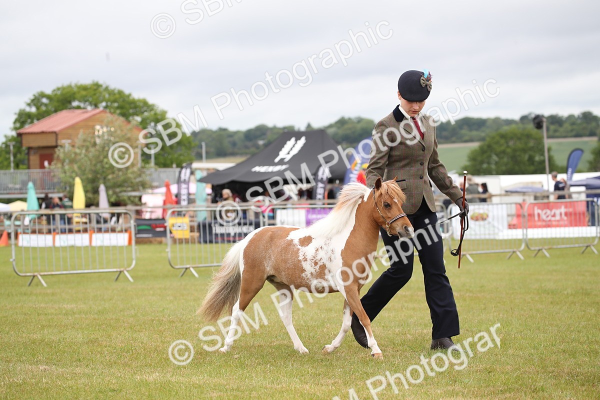 SBM_03997 - Class 23-25 - British Miniature Horse of the Year