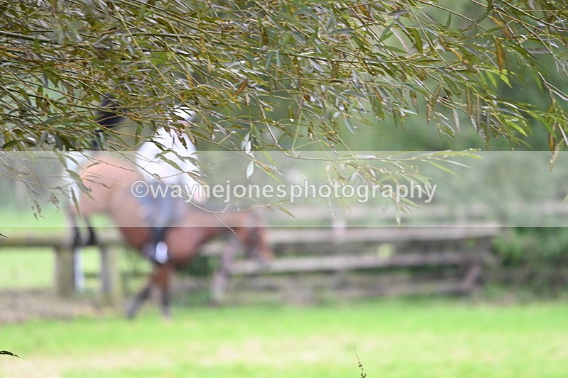 WJ6_7892 - Time at Photographer 13:49 to 14:15