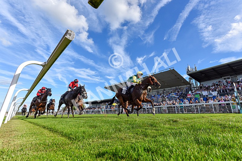 220926-Race 6-Coolree-7571 - Race 6 4.25pm Fango Handicap (Div I)