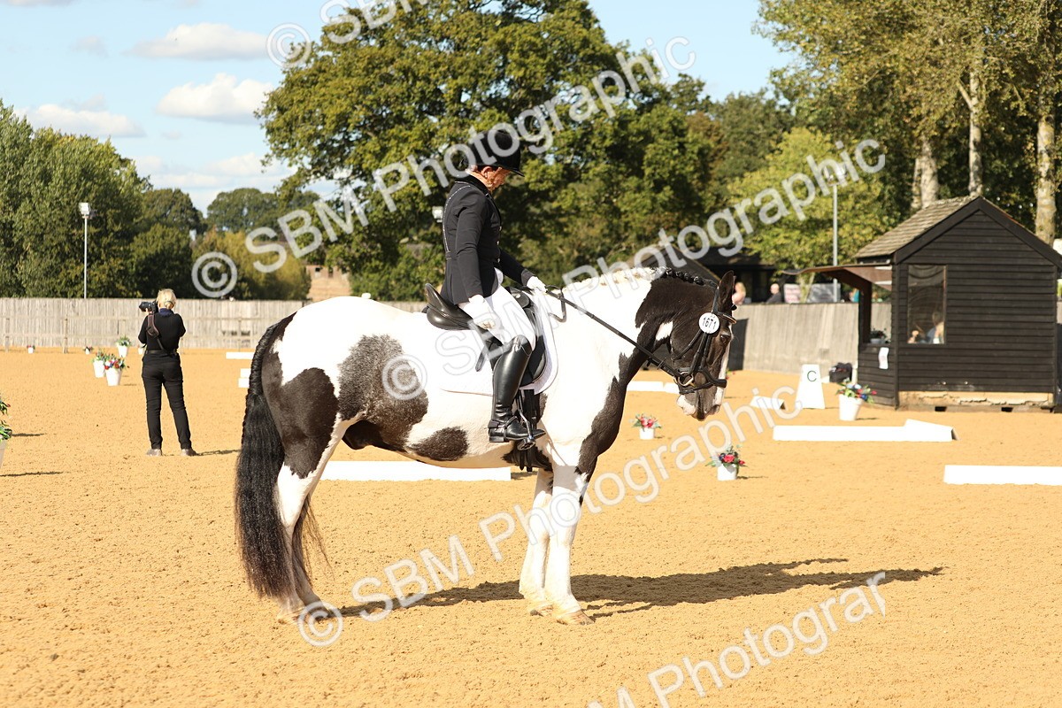 SBM_26726 - D17 - Grand Tour Championship - Novice 27