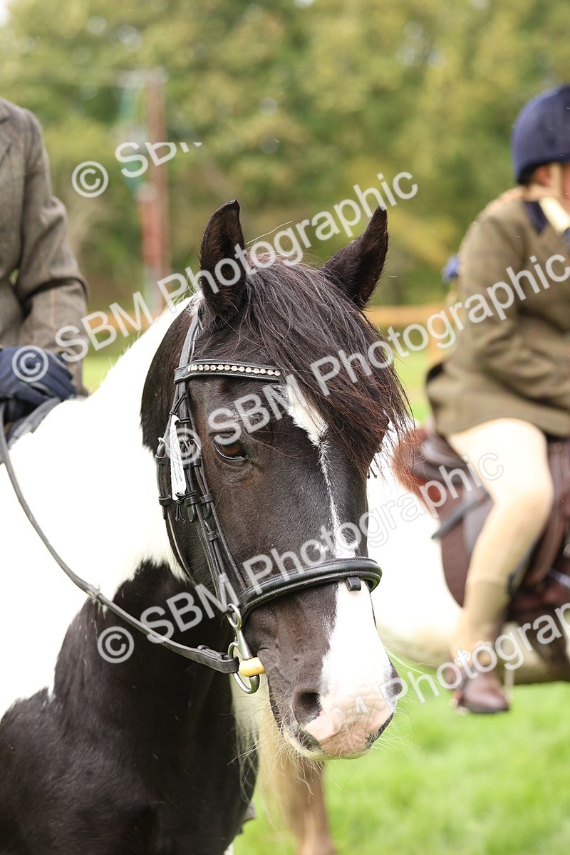 SBM_45105 - S27 - Young Veteran Ridden