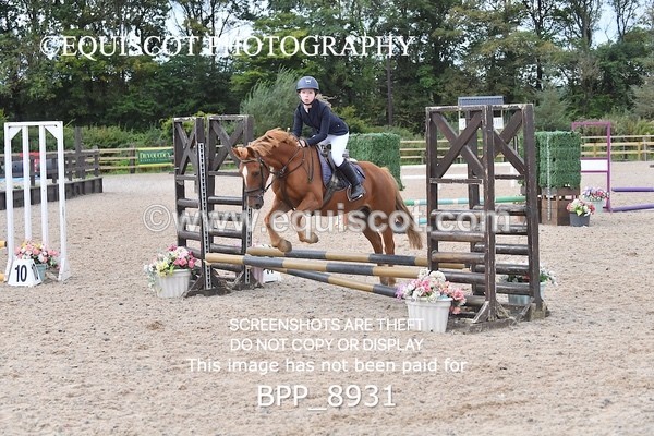 BPP_8931 - CLASS 4 50CM