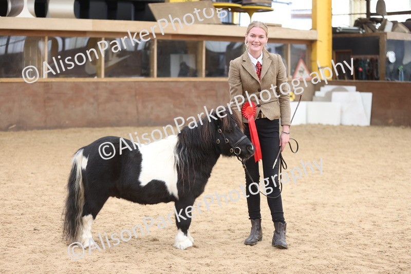 20251109-0283 - Class 12 - Stallions 4 Years and Over