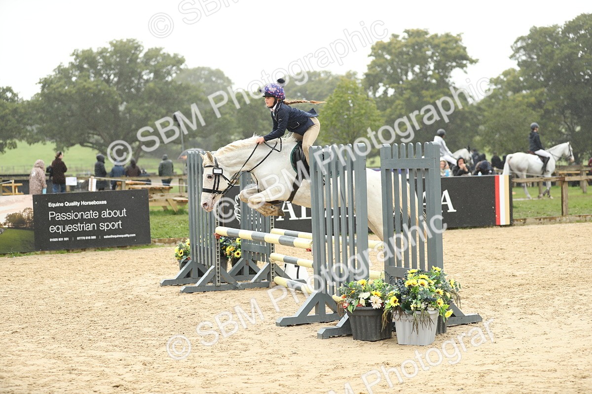SBM_73800 - J16 - Junior Pony 75cm Championship