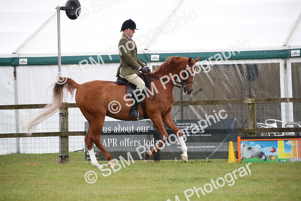 SBM_03616 - Class 21 - 22 - Ridden Arab and Part Bred/Anglo Arab