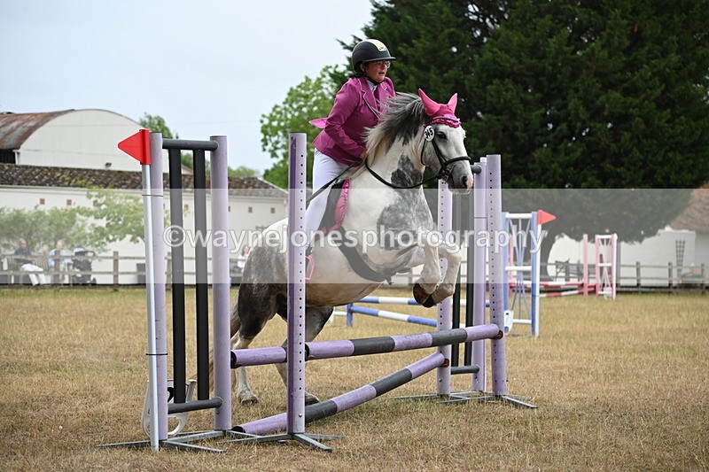 WJ6_0084 - Class 13 Novice Jumping 60cm