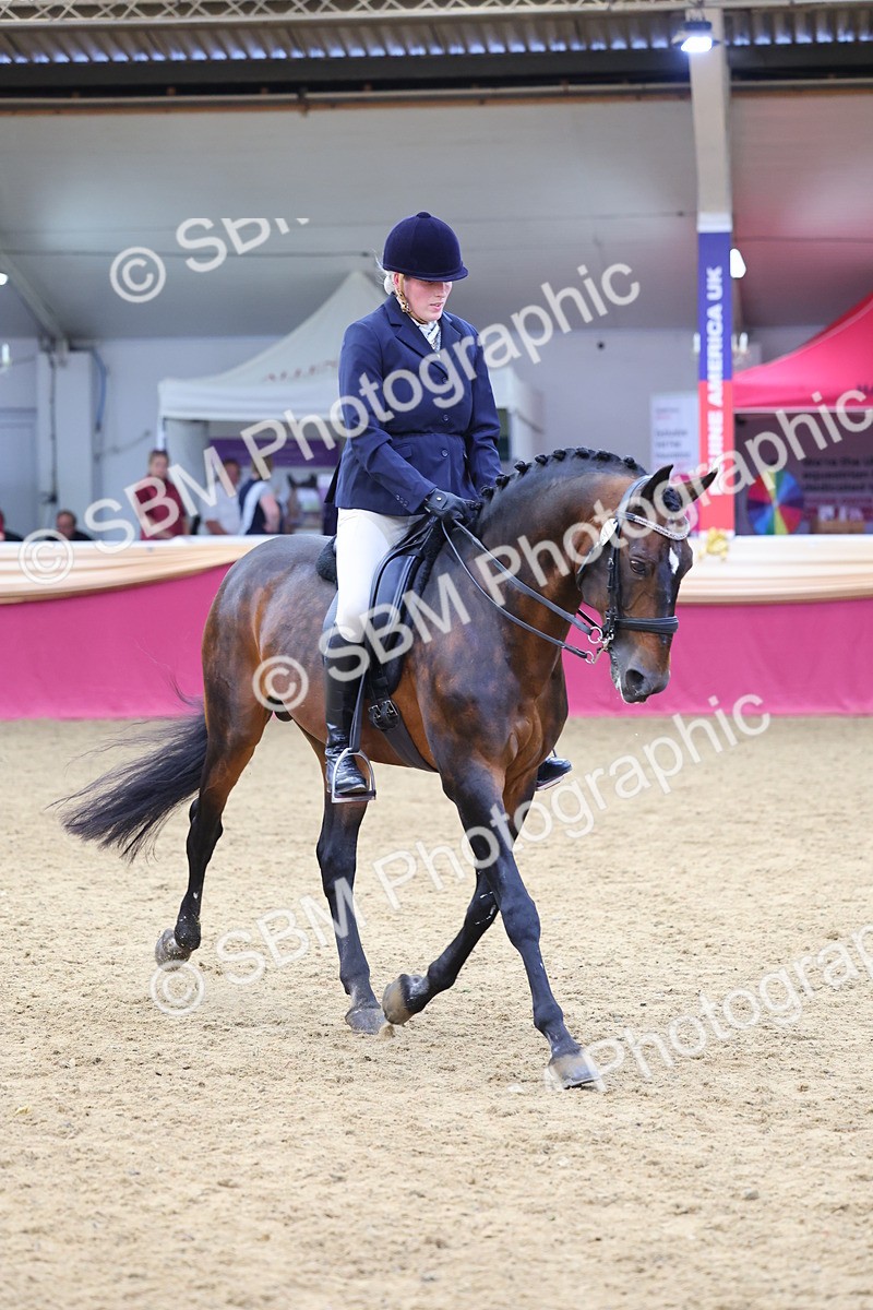 SBM_23766 - Class 904 - Supreme Final Ridden Diamond