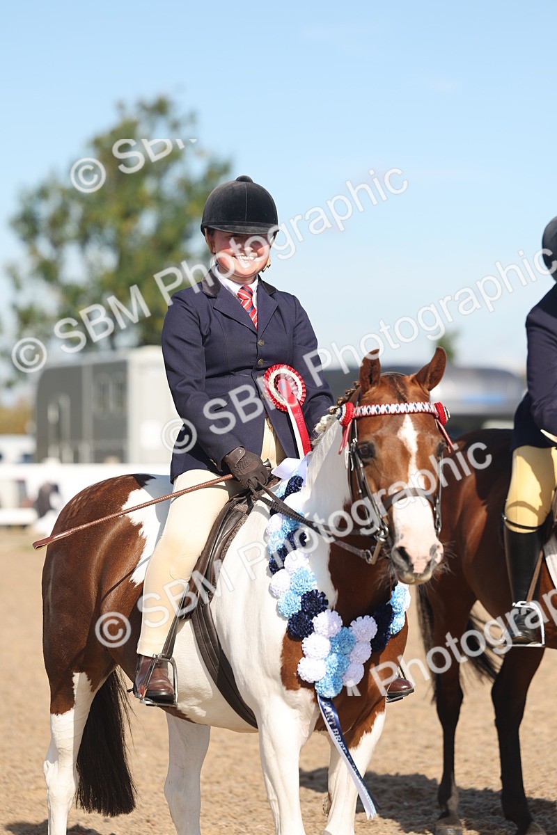 SBM_12412 - Class 304 - Ridden part Bred Horse Pony