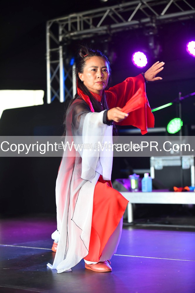SH4_1642 - Tai Chi with Lisa Kay.