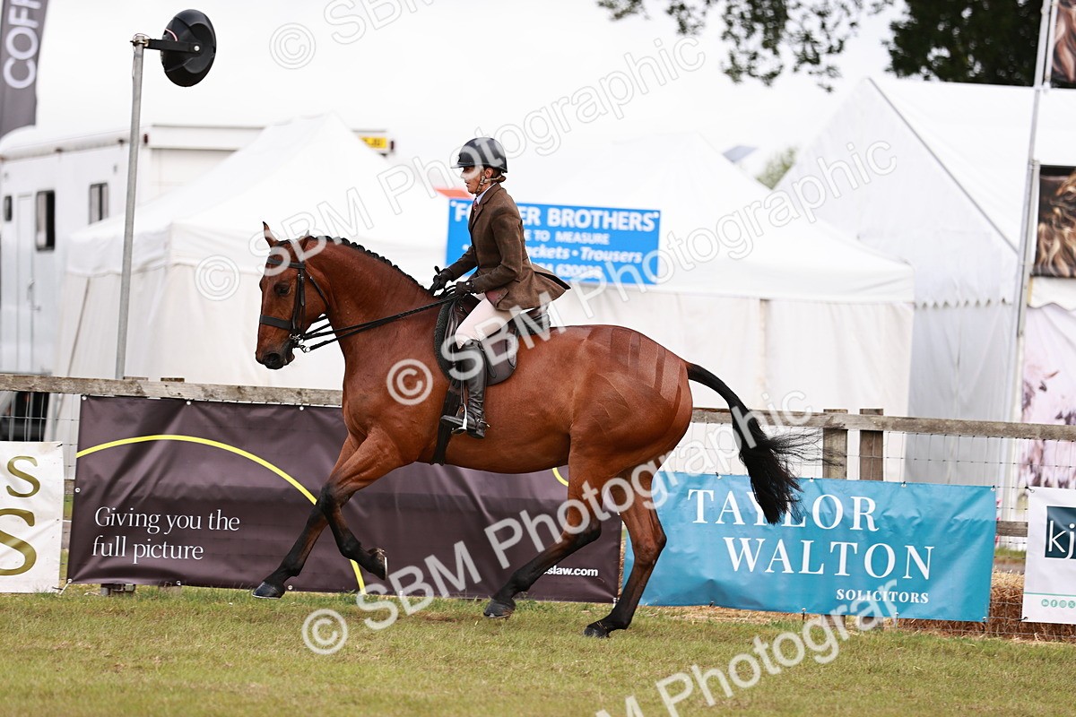SBM_10785 - Class 81-84 - RIHS Ridden hunters Inc Ladies Hunter