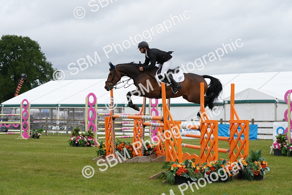 SBM_03273 - Class 201 - British Horse Feeds Speedi Beet Horse of the Year Show Grade  C