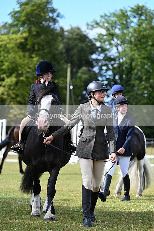 WJ7_4279 - Class 1 Lead Rein Pony