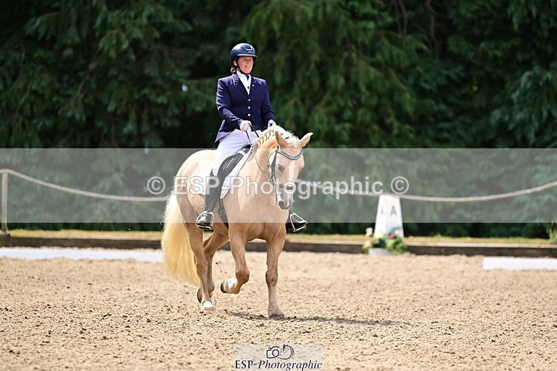 260802A-111311-05741 - Novice Silver break - break