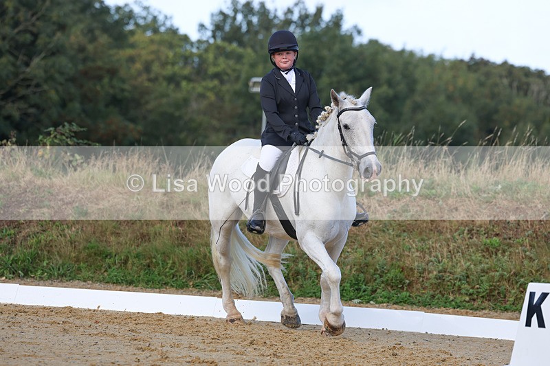 3E7A2455 - Class 1: Intro 4 2024 section A