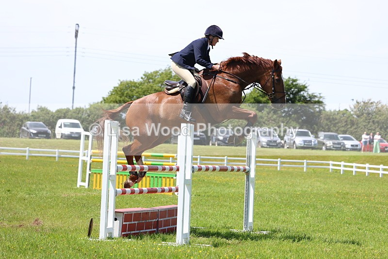 3E7A1257 - Class 12: Senior Foxhunter/1.20 open