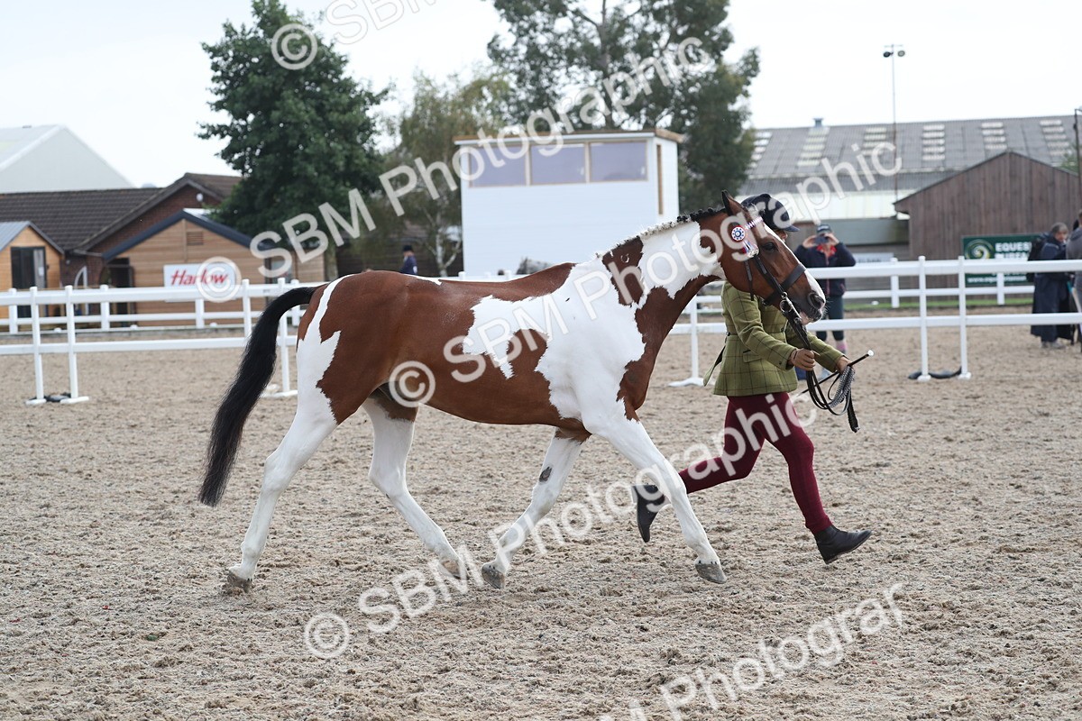 SBM_23147 - Class 605 - 2025 Area - IH Veteran
