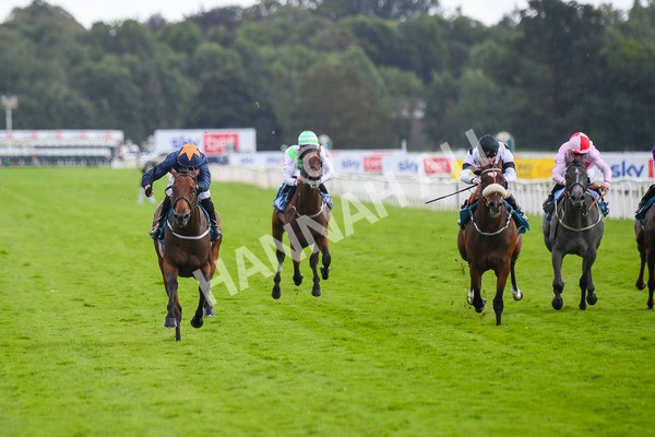 290723-Race 4-Blue Prince-0656 - Race 4 4.00pm 50K ITV7 Weekly Jackpot Nursery Handicap
